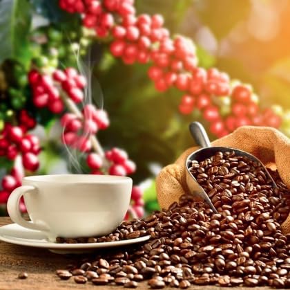 Lion Coffee, Arabica Coffee Beans, Light Roast Whole Bean Coffee, Vanilla Macadamia Flavor, A Taste of Aloha, 10 Ounce Bag