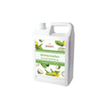 Bossen Concentrated Syrup_5.5 lb (Wintermelon)