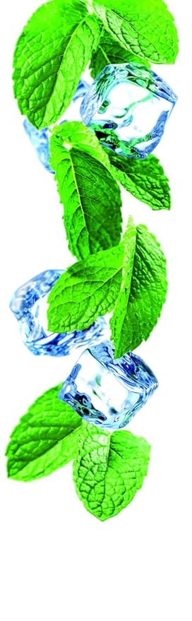 1883 Iced Mint Syrup for Drinks, Made in France, 1 Liter Glass Bottle