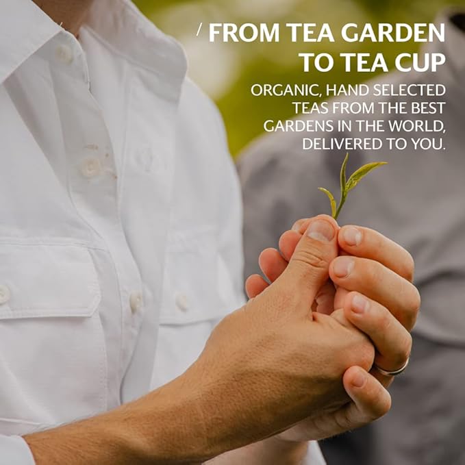 Grace Farms RISE Wellness Organic Tea Blend (100 Enveloped Pyramid Sachets w/ String & Tag) | Morning Energy & Focus | Earl Grey Crème with Adaptogenic Mushrooms and Ashwagandha | Fairtrade and Kosher | Gives Back 100% of Profits