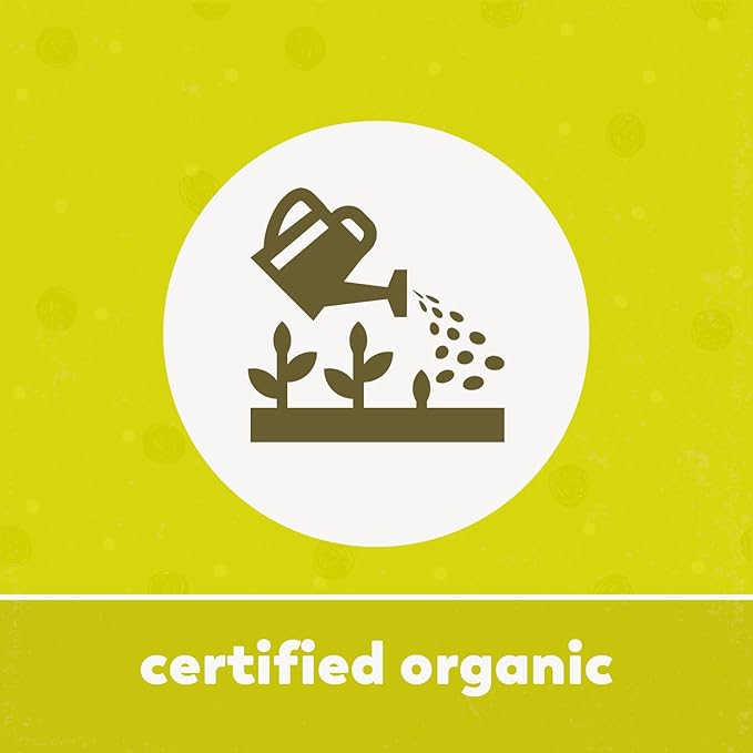 Yupik Organic Pinto Beans, 2.2 lb,35.2 Ounce, Non-GMO, Vegan, Gluten-Free (Pack of 2)
