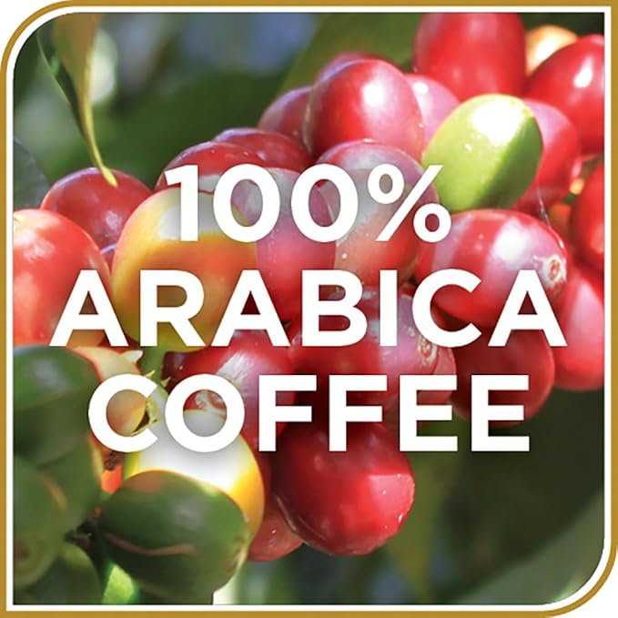 Don Francisco's Pumpkin Spice Flavored Coffee, 100% Arabica, 24 K-Cup Compatible Single-Serve Pods, Fragrant Holiday Blend, Seasonal Coffee