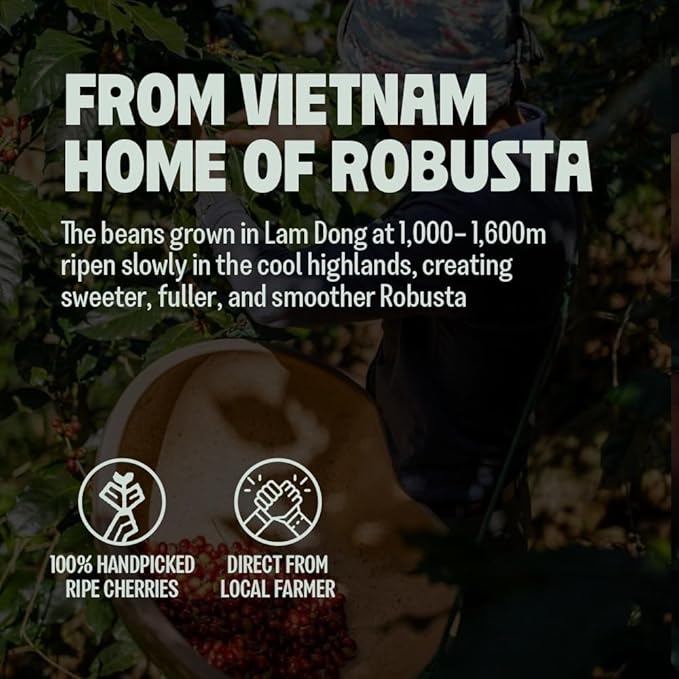 BAZAN COFFEE - Too Strong Robusta Vietnamese Whole Bean Coffee Dark Roast, Single Origin, High Caffeine & Low Acid Coffee, Bold Espresso Beans for Espresso Lovers, Full Bodied Flavor - 12oz bag