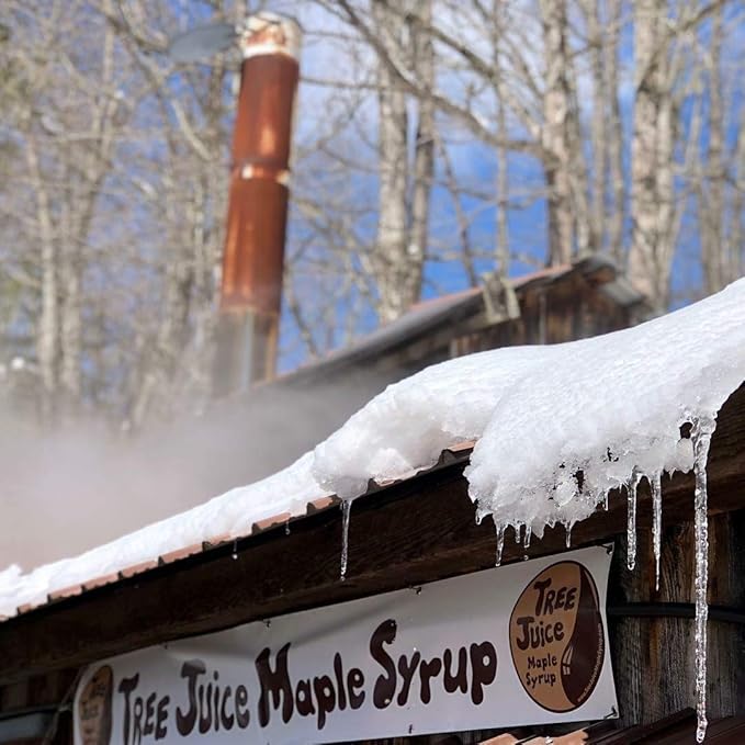 Tree Juice Vanilla Infused Maple Syrup | 100% Pure Grade A Maple Syrup | All Natural, Non GMO, Vegan, Gluten Free, Vegetarian, Paleo | 12 Ounce Bottle