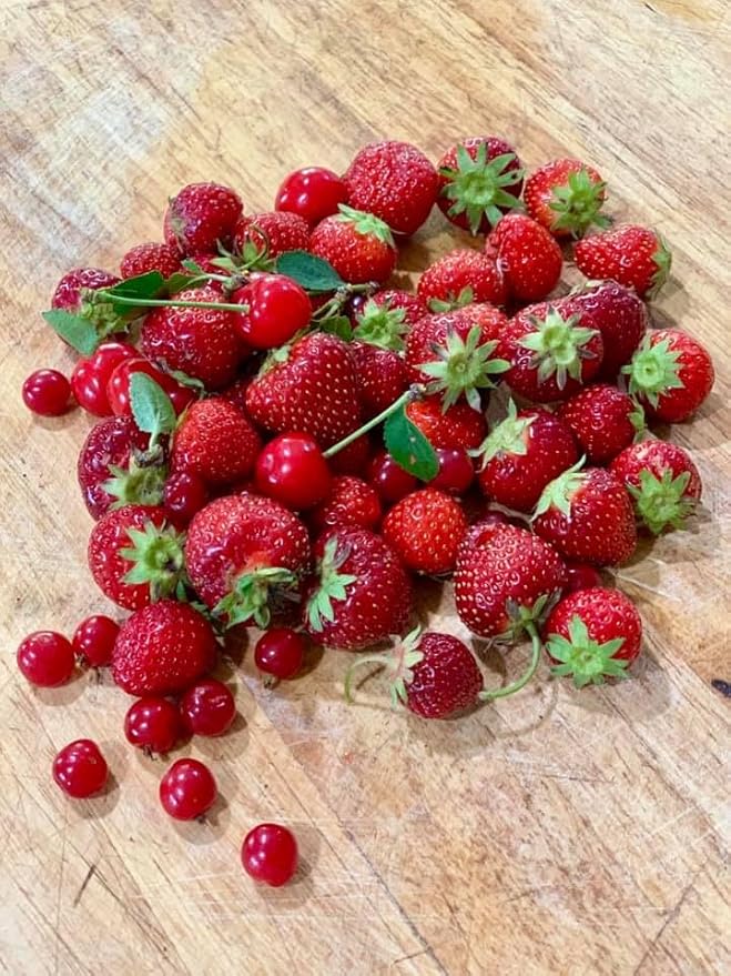 Tree Juice Strawberry Maple Syrup | All Natural, Non GMO, Vegan, Gluten Free, Vegetarian, Paleo | 12 Ounce Bottle