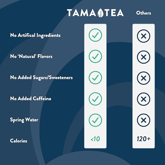 Sparkling Ginger Yerba Mate by Tama Tea - Unsweetened Natural Energy Drink with Real Fruit & Herbs - Healthy Caffeine Drink Alternative - 120mg of Brain-Boosting Caffeine, 10 Calories - 12oz Pack of 12
