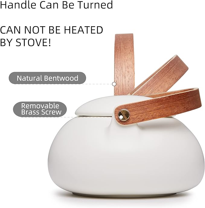 ZENS Teapot with Infuser, Ceramic Japanese 2cup Teapot for Loose Leaf Tea, 800ml Small Matte White Porcelain Tea Pot Gift with Modern Bentwood Handle