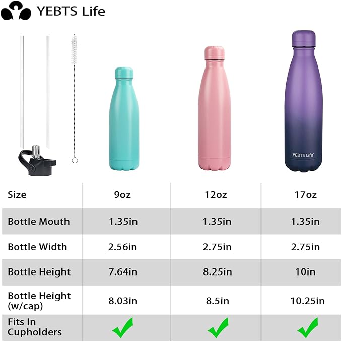 Insulated Water Bottle, 2 Pack-17oz Stainless Steel Water Bottles with straw lid, Metal Sports Water Bottles for Boys,Girls, Double Wall Vacuum BPA-Free Flask for School (Purple-Ocean Dream)