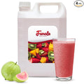Fanale Premium Flavoring Concentrated Syrup for Bubble Tea 11 lb | Guava Flavor Syrup | for Boba Tea, Smoothies, Slushes, Desserts | 11lb | Pack of 4 | SRP210-CS