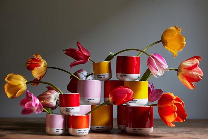 Copenhagen Design Pantone Latte Cup - Double Wall Thermo - Cappuccino Handleless Mug - 7.44oz/220ml, Red 2035