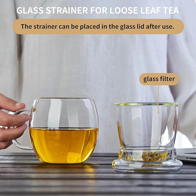 Glass Tea Cup with Infuser and Lid, 17oz/500ml Large Borosilicate Teacup, Clear Mug for Loose Leaf Tea, Blooming Tea, Tea Bags - Perfect Christmas or Birthday Gift for Women
