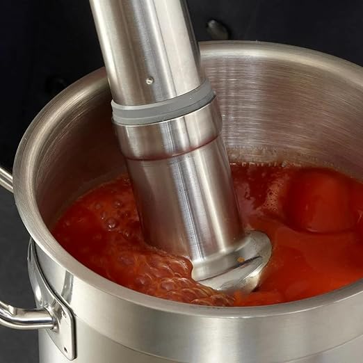 Robot Coupe CMP250COMBI Hand Held Compact Power Mixer Immersion Blender with 10" Arm/Shaft and 8" Whisk, 120v, Grey