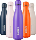 BJPKPK 17oz Insulated Stainless Steel Water Bottles,Sports Water Bottles Keep Cold for 24 Hours and Hot for 12 Hours,BPA Free for Travel,Purple cap