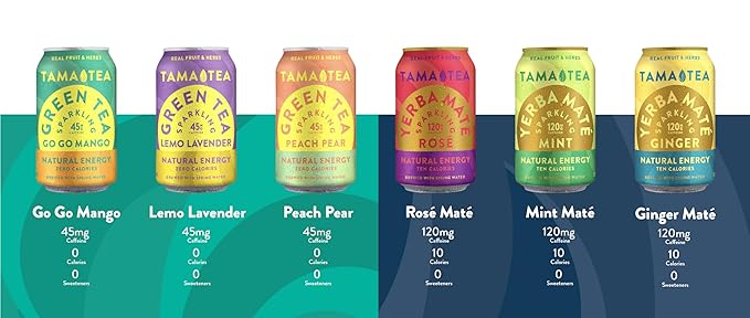 Sparkling Ginger Yerba Mate by Tama Tea - Unsweetened Natural Energy Drink with Real Fruit & Herbs - Healthy Caffeine Drink Alternative - 120mg of Brain-Boosting Caffeine, 10 Calories - 12oz Pack of 12