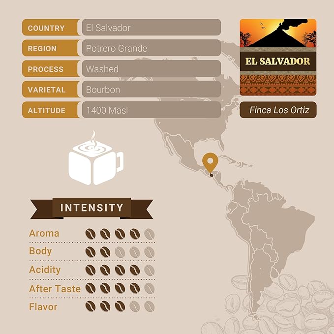 El Salvador Coffee, Whole Bean Coffee, Premium Salvadoran Single Origin Fresh Roasted Coffee Beans | Cubico Coffee | 12 Ounce Bag
