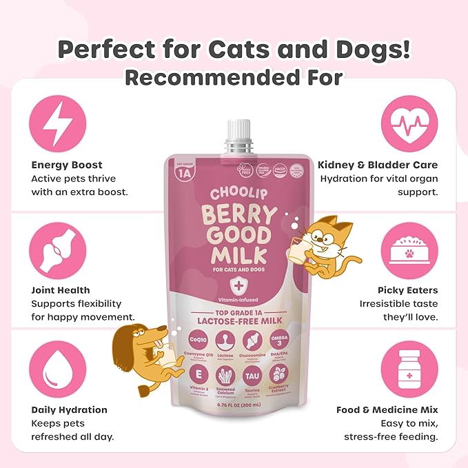 Choolip Berry Good Milk – 10-Pack Lactose-Free Vitamin Milk for Cats & Dogs | Vet-Formulated Pet Drink Supporting Urinary, Joint & Digestive Health | Grain-Free, Ready to Serve