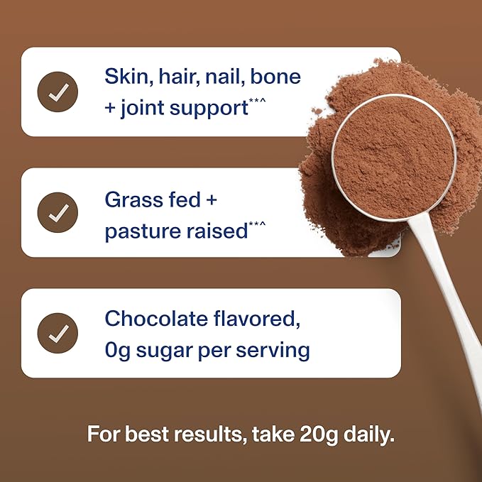 Vital Proteins Collagen Peptides Powder - Chocolate Powder for Hair, Nail, Skin, Bone & Joint Health, 13.5oz
