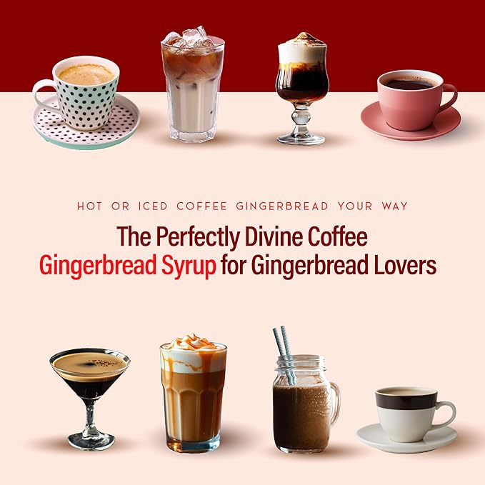 RIO Gingerbread Coffee Syrup, Perfect for Hot or Iced Drinks & Desserts, Spiced & Warming Flavoring Sweetened with Pure Cane Sugar, Barista-Grade Flavor Syrups for Coffee Drinks at Home & Work - 700ml