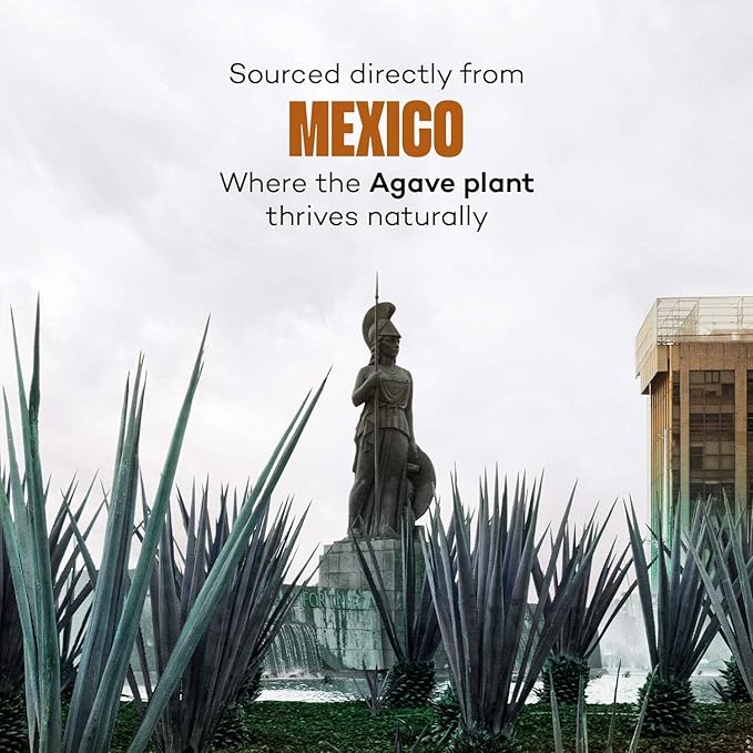 Urban Platter Mexican Blue Agave Syrup | 17.64 Oz (500g) | Natural Plant-Based Sweetener | Low Glycemic, Vegan & Gluten-Free | Perfect Sugar Alternative for Tea, Coffee, Baking & Desserts