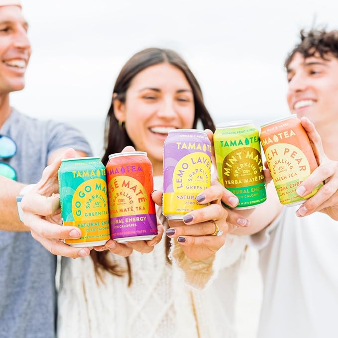 Sparkling Ginger Yerba Mate by Tama Tea - Unsweetened Natural Energy Drink with Real Fruit & Herbs - Healthy Caffeine Drink Alternative - 120mg of Brain-Boosting Caffeine, 10 Calories - 12oz Pack of 12