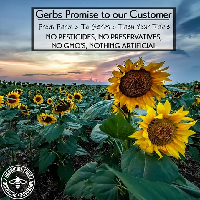 Ground Sunflower Seed Meal, 1 LB By Gerbs - Top 14 Food Allergy Free & NON GMO - Vegan & Keto Safe – Cold Milled Full Oil Seed Protein Powder