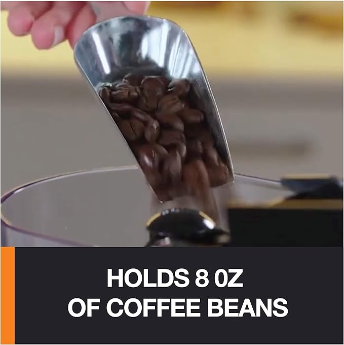 KRUPS Precision Burr Coffee Grinder: 12 Settings, 8 oz Capacity for Drip, French Press, Espresso, Pour Over, Cold Brew - Stainless Steel, 110W, Auto-Stop, Easy Clean