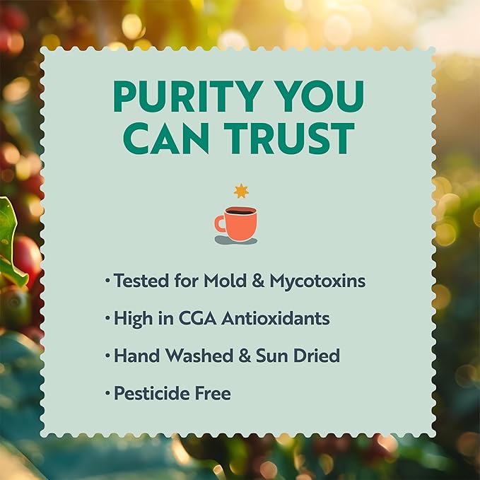 Clean Coffee Co. - Low Acid Dark Roast, Tested for Molds and Toxins, Honduras Blend, Notes of Caramel, Dark Chocolate, and Toasted Malts (Whole Bean, 12 oz Bag) (Pack of 2)