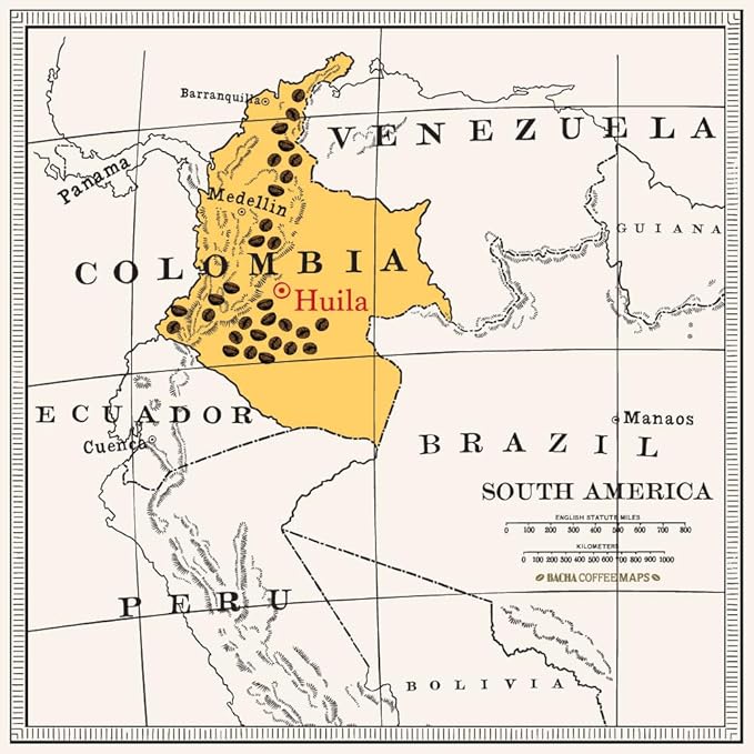 Bacha Coffee | Magdalena Decaf Colombia Single Origin, Medium Dark Roast, 100% Arabica Specialty Coffee, 12 Coffee Drip Bags, Gift Box