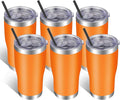 VEGOND 20oz Tumbler Stainless Steel Tumbler Cup with Lid And Straw Vacuum Insulated Double Wall Travel Coffee Mug