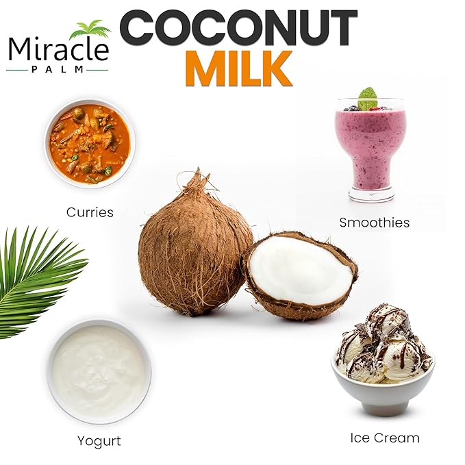 Miracle Palm Coconut Milk Unsweetened - Coconut Milk Canned, Additive Free Organic 13.5 Fl Oz (Pack of 6)