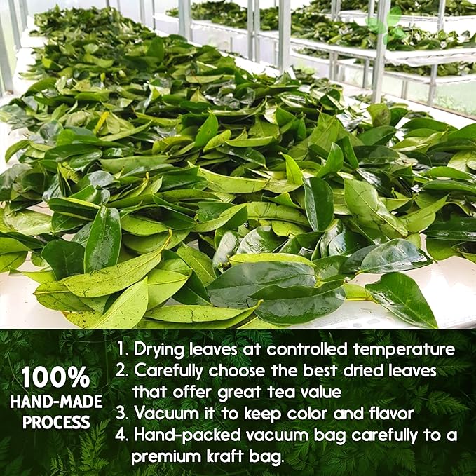 40 Premium Soursop Graviola Leaf Tea Bags, 100% Natural and Pure from Soursop Leaves, Handmade, Made With Natural Materials-Corn Fiber Tea Bag, Sugar/Caffeine/Gluten Free, Hoja Guanabana Tea