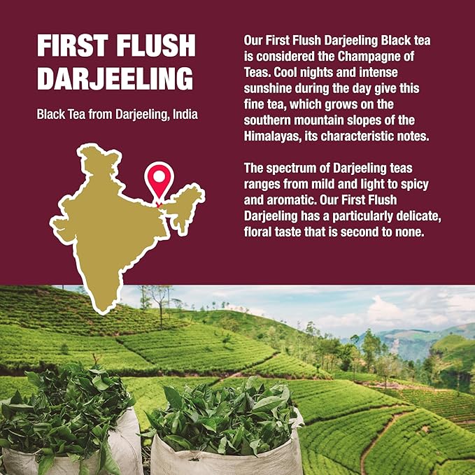 Tiesta Tea - First Flush Darjeeling Black Tea, Loose Leaf, Single Origin Premium Black Tea from India, Pure High-Caffeinated Blend, Makes Hot or Iced & Up to 50 Cups, 4oz Refillable Tin