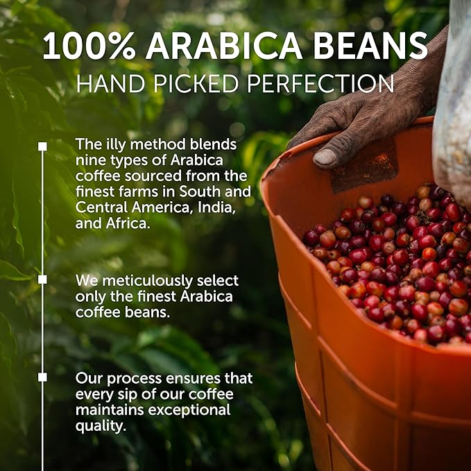 Illy Whole Bean Coffee, Decaffeinated - Medium Roast - Mild & Balanced - 100% Arabica - Whole Beans - Pressurized Packaging Sealed for Freshness - 8.8oz can (Pack of 12)