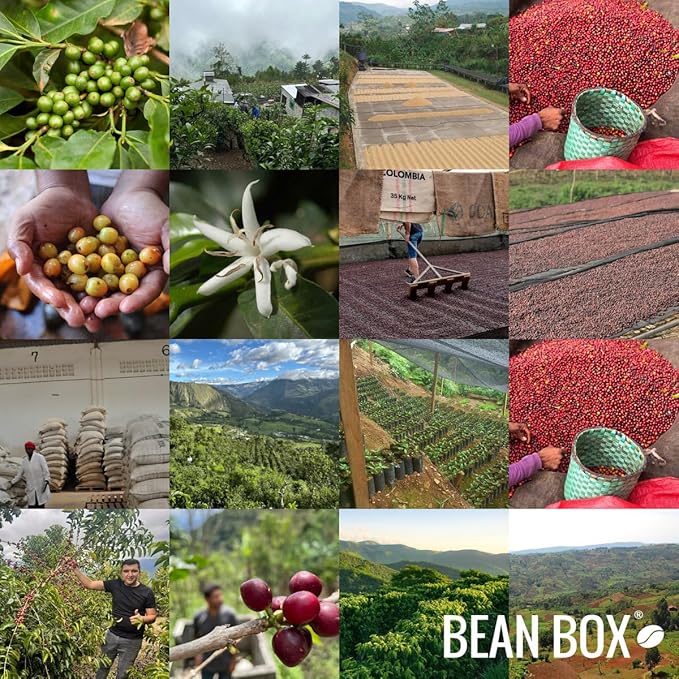 Civitas Blend - Roasted by Huckleberry Roasters - Whole Bean Coffee - 12 Ounce Bag