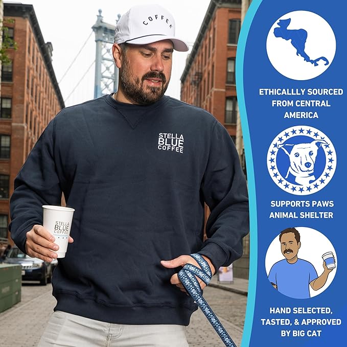STELLA BLUE Fresh Cold Brew Coffee | Electric Avenue Blend | 100% Arabica Dark Roast | Bold Toffee and Dark Chocolate with Smoky Notes | 6 Brew Packets for Cold Brew | Makes 24 Smooth Bold Cups