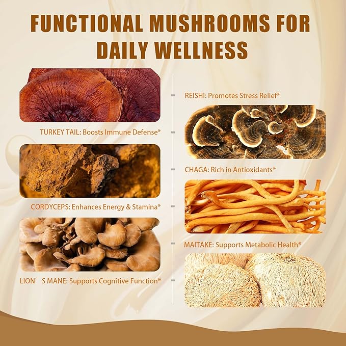 Mushroom Coffee Creamer, Caramel Creamer, Probiotics, MCT Powder and 6 Mushrooms | Lion's Mane, Turkey Tail, Reishi, Maitake, Chaga, Cordyceps | Boosts Energy, Focus, Supports Immunity | Gluten-Free, Vegan, 6.35 Oz