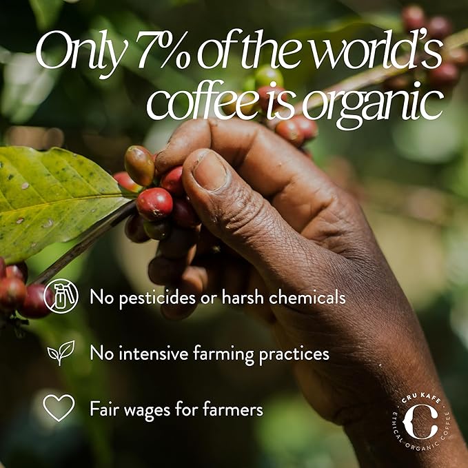 Cru Kafe Lungo Espresso Strong USDA Organic Espresso Coffee Capsules (10 Pods) Fairtrade Coffee Pods Compatible with Nespresso Original Line and Pixie Machines
