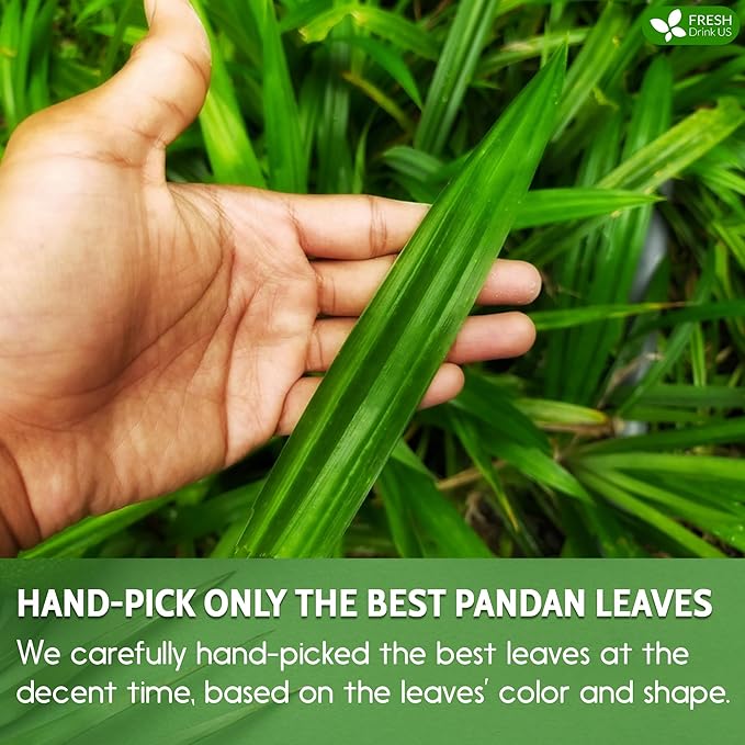 FreshDrinkUS, Premium 55 Pandan Leaf Tea Bags, 100% Natural & Pure from Pandan Leaves. Loose Leaf Pandan Herbal Tea. Made with Natural Material Tea Bags. No Sugar, No Caffeine, No Gluten, Vegan.