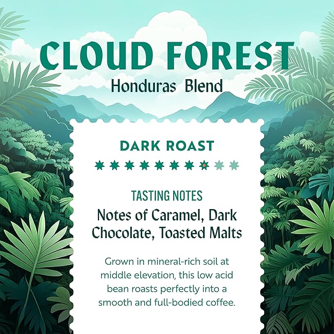 Clean Coffee Co. - Low Acid Dark Roast, Tested for Molds and Toxins, Honduras Blend, Notes of Caramel, Dark Chocolate, and Toasted Malts (Whole Bean, 12 oz Bag) (Pack of 2)
