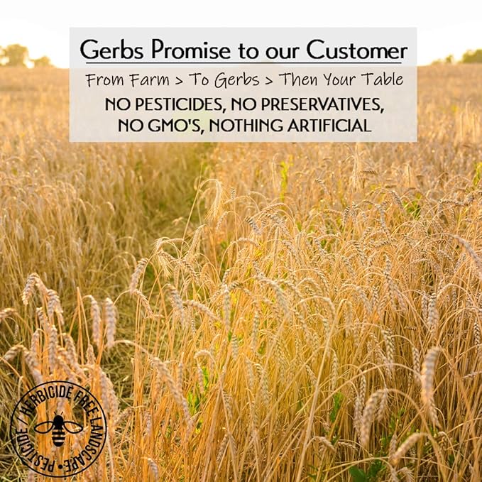 Gerbs Gluten-Free Instant Oats 2 lbs. | Carefully Sourced, Resealable Bag | Smooth & Creamy Texture | Top 14 Allergen-Free