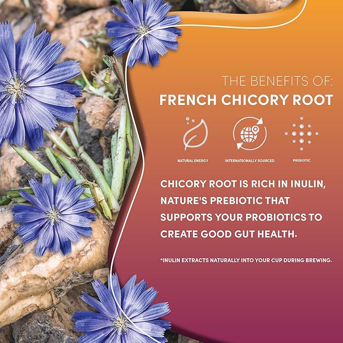 Teeccino Hazelnut Chicory Coffee Alternative - Ground Herbal Coffee That’s Prebiotic, Caffeine Free & Acid Free, Medium Roast, 11 Ounce (Pack of 6)