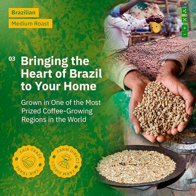 Brazilian Santos Medium Roast Coffee Beans - Single Origin Arabica Specialty Coffee Beans, Freshly Roasted to Order, Fair Trade
