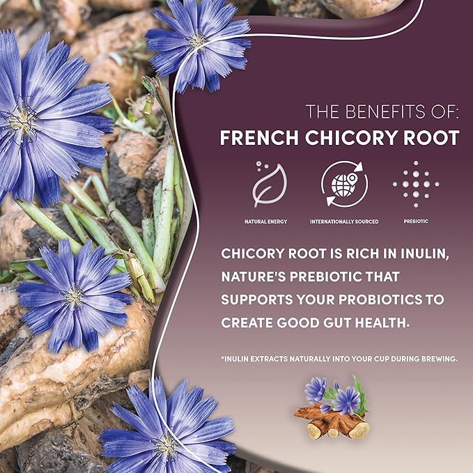 Teeccino Maple Pecan Chicory Coffee Alternative - Ground Herbal Coffee That’s Prebiotic, Caffeine Free & Acid Free, Medium Roast, 11 Ounce