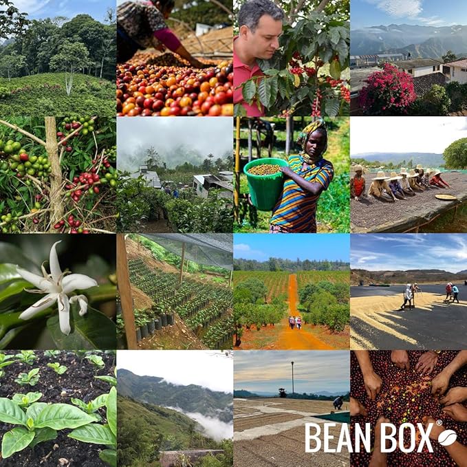 Colombia La Familia Guarnizo - Roasted by Joe Coffee Company - Whole Bean Coffee - 5 Pound Bag
