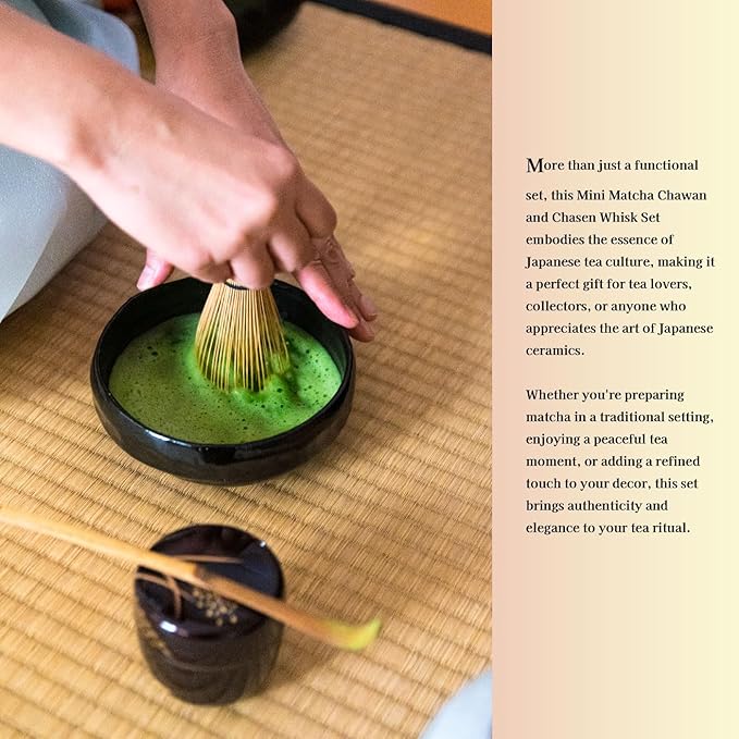 Japanese Traditional Mino Ware Handcrafted Mini Matcha Chawan Tea Bowl Cup Set With Chasen Bamboo Tea Whisk Ceremony Tableware Pottery (Tenmoku Sakura)