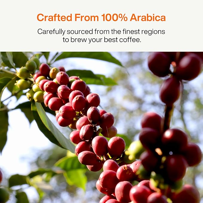 SATURNBIRD Coffee Instant Cold Brew, Medium-Dark Roast, Smooth & Balanced Blend of 100% Specialty Arabica, Enjoy Hot or Cold, Freeze Dried Iced Coffee, 24 Single Servings for Home Travel Office (NO.4)