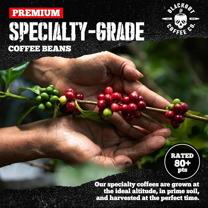 Blackout Coffee Pitch Black Espresso Whole Bean Coffee – Extra Dark Roast, European-Style, Powerfully Bold – Freshly Roasted 12oz Bag, American Made