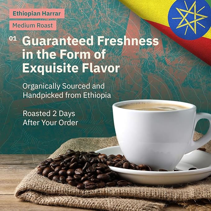 Kochere Ethiopian Harrar Whole Bean Coffee – 1LB Medium Roast – Fresh Roasted to Order – Single Origin, Farm Direct, Rich Flavored Coffee Beans – Chocolate & Fruity Notes