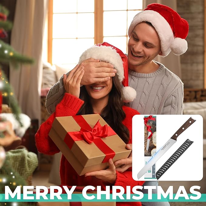 HAUSHOF Bread Knife with Sheath, 10-Inch Serrated Bread Knife for Homemade Bread, 5CR15M0V Premium Stainless Steel Bread Cutter with Gift Box for Mom Dad, Full Tang and Ergonomic Handle