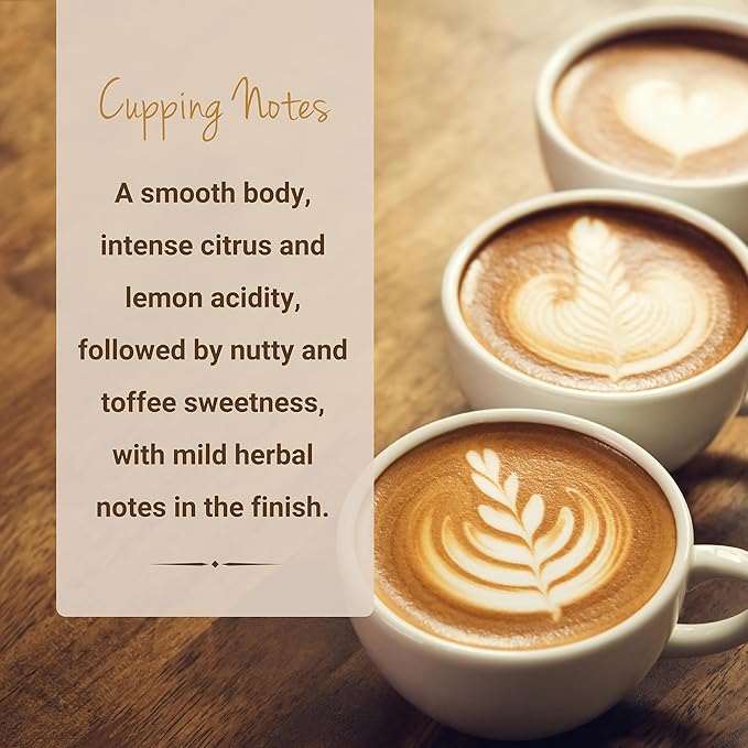 Peruvian Coffee, Whole Bean Coffee, Premium Peru Cenfrocafe Single Origin Fresh Roasted Coffee Beans | Cubico Coffee | 12 Ounce Bag